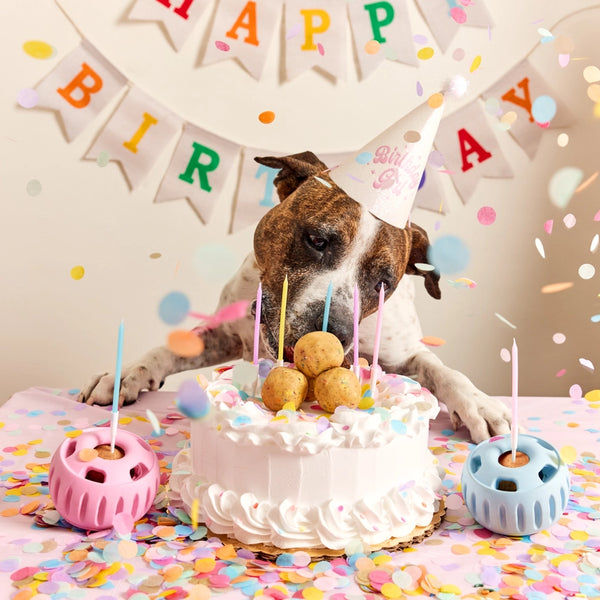 Party Pupsicle - Pink Large
