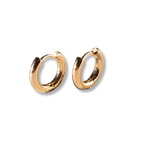Hoop Huggie Earrings