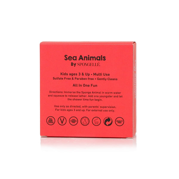 Fiona Fish Sea Animal Sponge