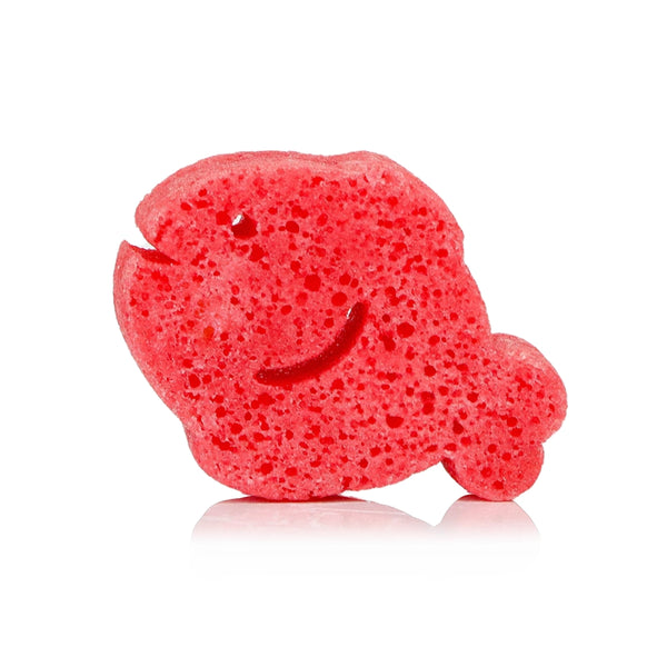 Fiona Fish Sea Animal Sponge