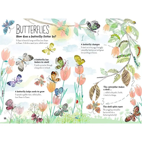 The Big Book of Bugs